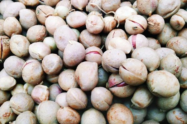 Belgium’s Bambara Bean Exports Showed Impressive Growth in 2014